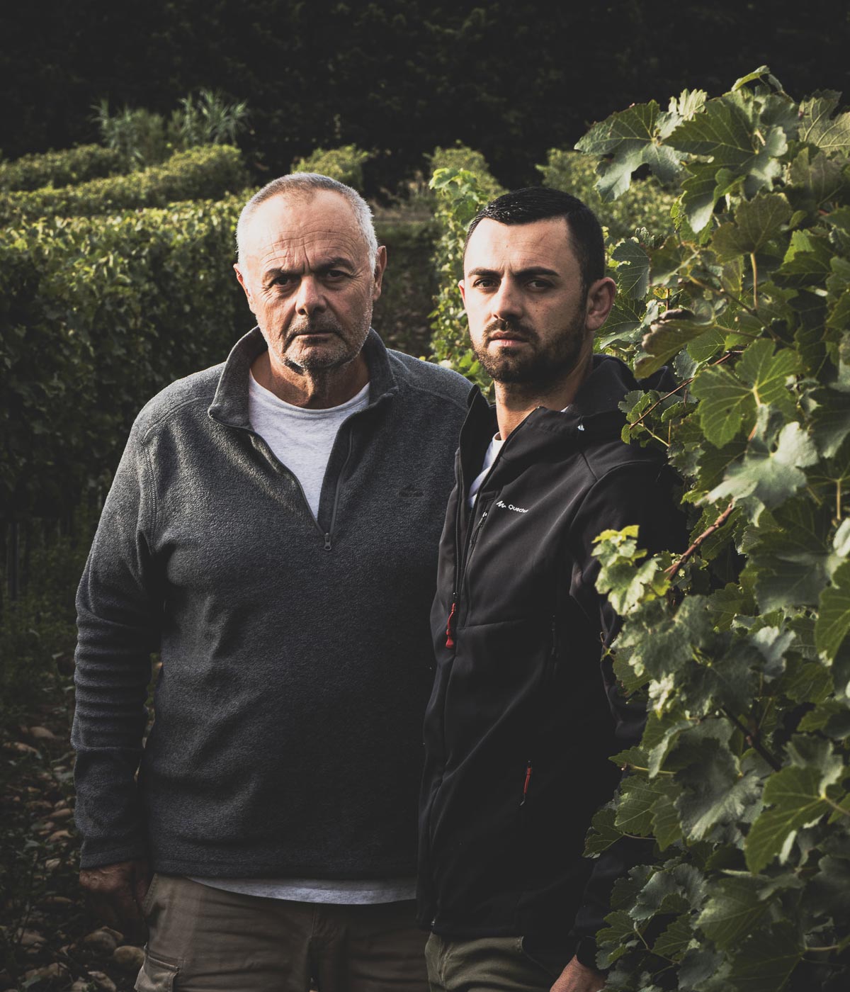 An older man and a younger man standing closely together among grapevines in a vineyard.